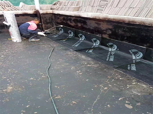 防水维修工程
